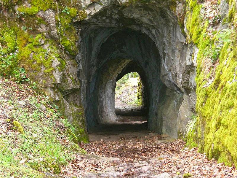 CIMG3884.JPG - De tunnel die toegang verschaft tot de burcht.